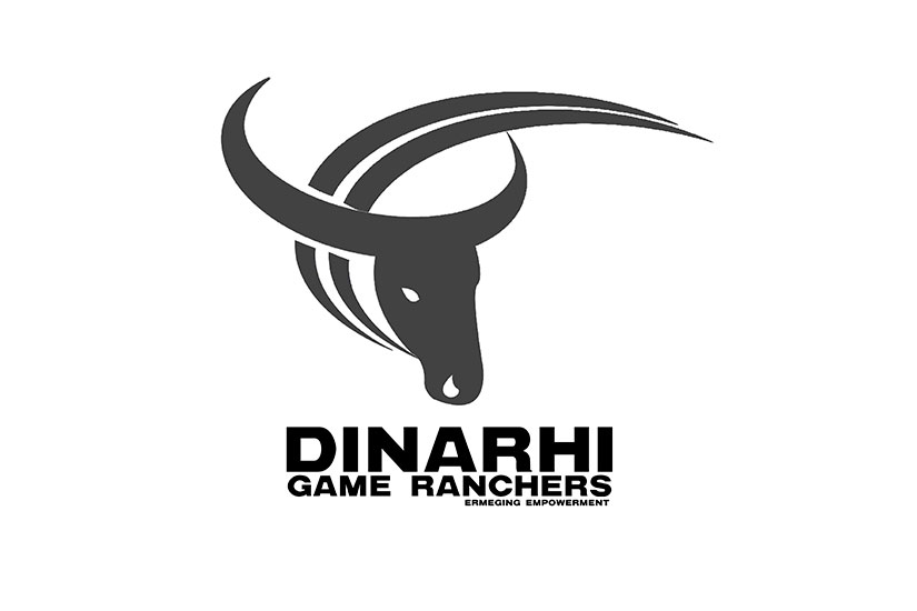 Dinarhi